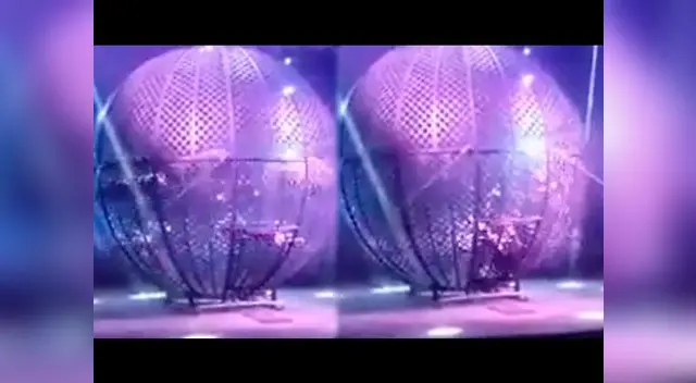 Accidente dejó varios heridos en circo Accidente dejó varios heridos en circo