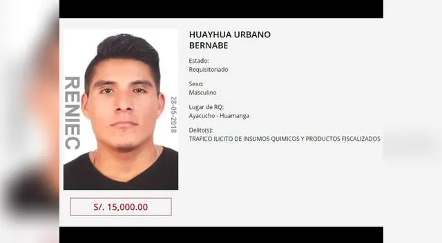 Darían 15 mil soles por su captura y ubicación Darían 15 mil soles por su captura y ubicación