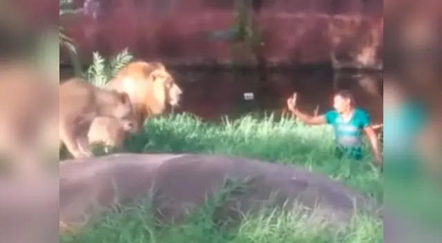 Hombre se lanza a pozo lleno de leones, en La India