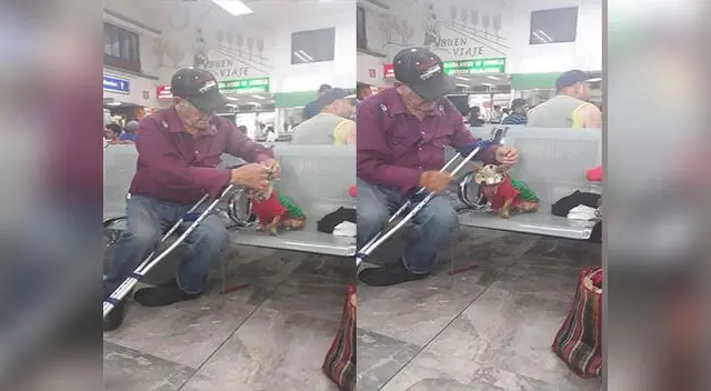 Dulce anciano protege a su cachorro cuando están de viaje 