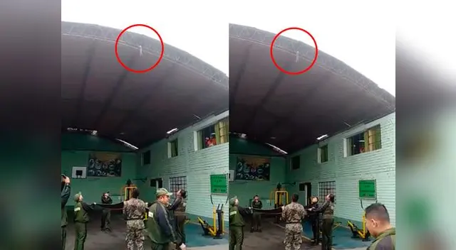 Gatito es rescatado por militares peruanos Gatito es rescatado por militares peruanos