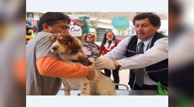 Miles de perros serán vacunados contra la rabia en Lima y Huánuco