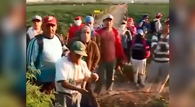 Venezolanos denunciaron explotación laboral en los campos de cultivo en Ancash. Venezolanos denunciaron explotación laboral en los campos de cultivo en Ancash.