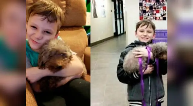 Se debe promover la adopción Se debe promover la adopción