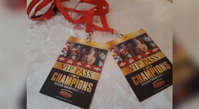 Las credenciales de Romero y su esposa Las credenciales de Romero y su esposa