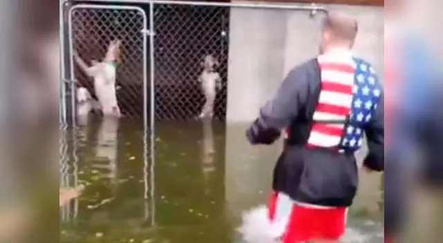 Hombre salvó a seis perros que se encontraban enjaulados en medio del huracán Florence Hombre salvó a seis perros que se encontraban enjaulados en medio del huracán Florence