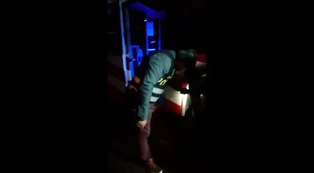 Ante gritos de mujer, personal del bus bajó para poner a salvo a felino Ante gritos de mujer, personal del bus bajó para poner a salvo a felino