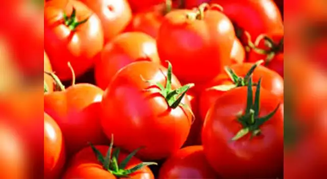 El tomate también contiene potasio y bajos niveles de sodio, lo que favorece a evitar la retención de líquidos y a la eliminación de toxinas