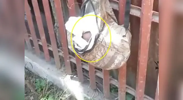 Presunta madre adolescente abandona a bebé Presunta madre adolescente abandona a bebé