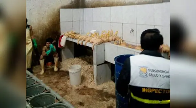 Ministerio Público incautó medio millar de pollo contaminado en mercado de Villa El Salvador