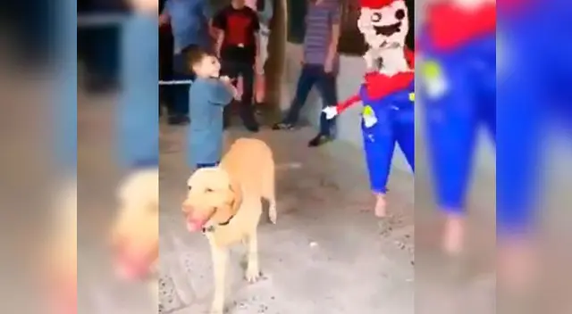 Video viral en Facebook muestra al can ayudando a su dueño a sacar las sorpresas de la piñata de una forma muy ocurrente