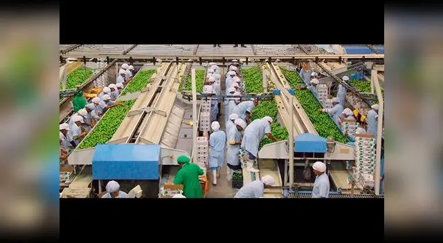 Ministerio de Trabajo brinda facilidades para miembros de mesa Ministerio de Trabajo brinda facilidades para miembros de mesa