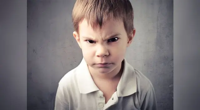 Algunas de las causas de esta agresividad, según los expertos, podrían tener un inicio desde el embarazo