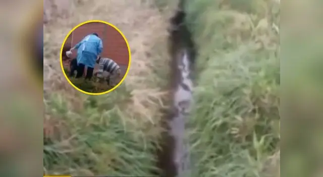 Hallan a menor desaparecido