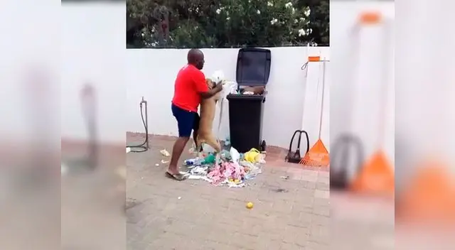 Dueño se cansó de las travesuras de su perro y le enseño algo que no olvidará