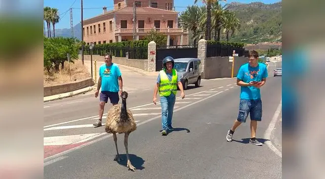 Las imágenes ese han viralizado en redes 