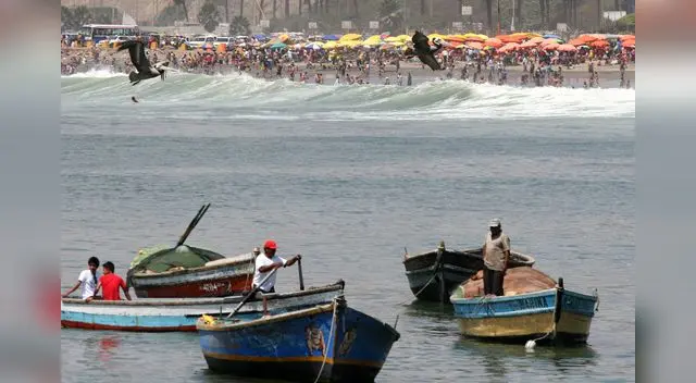 Después de un largo seguimiento lograron capturarlos Después de un largo seguimiento lograron capturarlos
