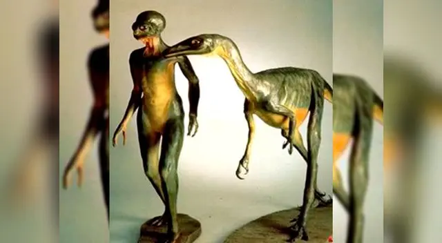 ¿Cuál es el verdadero origen de los reptilanos? ¿Cuál es el verdadero origen de los reptilanos?