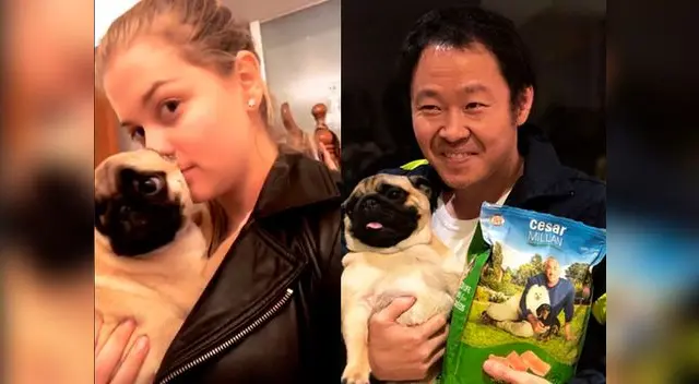 Kenji Fujimori engrió a la mascota de Bruenlla Horna