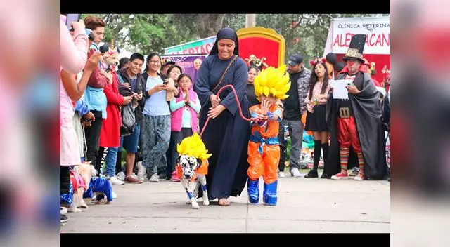 Concurso de Halloween para mascotas en San Miguel
