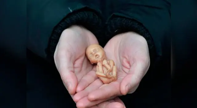 Una mujer difunde imágenes del feto de su hijo