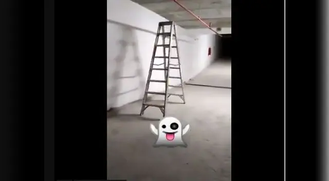 Imágenes de terror en sótano de un edificio Imágenes de terror en sótano de un edificio