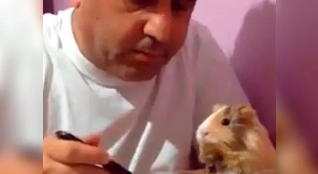 Hombre y un cuy se vuelven popular en Facebook