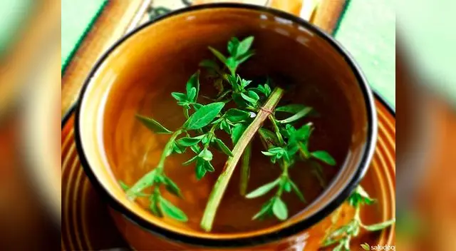 Tomando muña también disminuimos la probable aparición de problemas visuales