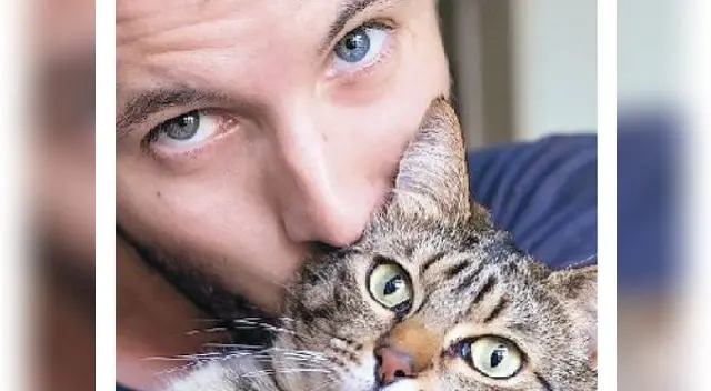 Presta atención a las necesidades básicas de tu gatito Presta atención a las necesidades básicas de tu gatito