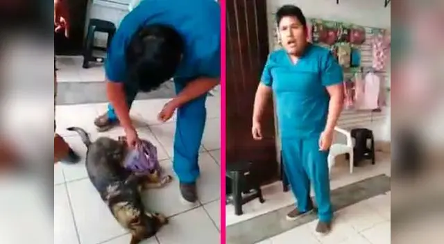 Defienden a veterinario acusado de no atender a perrito herido con esta versión 