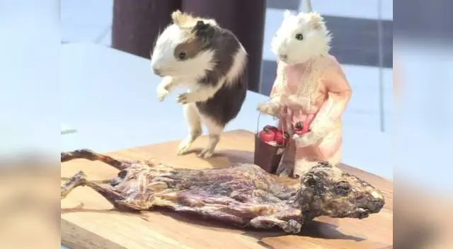 El cuy se encuentra entre las comidas más asquerosas de Europa El cuy se encuentra entre las comidas más asquerosas de Europa