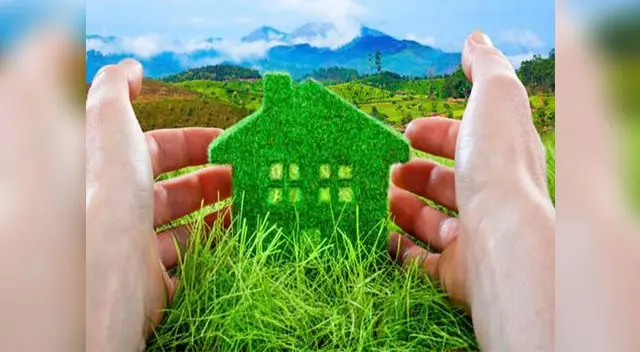 Cuidar el medio ambiente es un valor importante que se aprende desde casa Cuidar el medio ambiente es un valor importante que se aprende desde casa