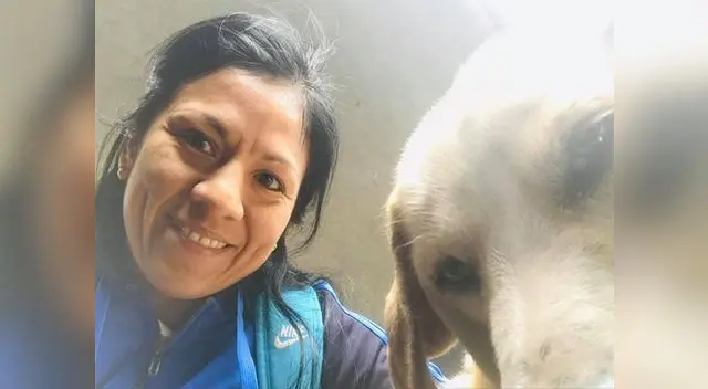 Perrito que esperó 3 días a dueño en puerta de hospital tiene nueva familia