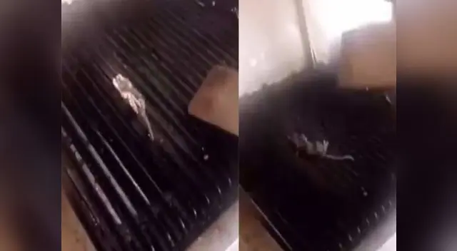 Video dio la vuelta al mundo y provocó cierre de restaurante