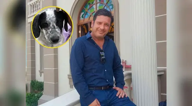 El actor Lucho Cáceres contó en Facebook la historia de 'Manolo', un perrito callejero que acaba de recoger. El actor Lucho Cáceres contó en Facebook la historia de 'Manolo', un perrito callejero que acaba de recoger.