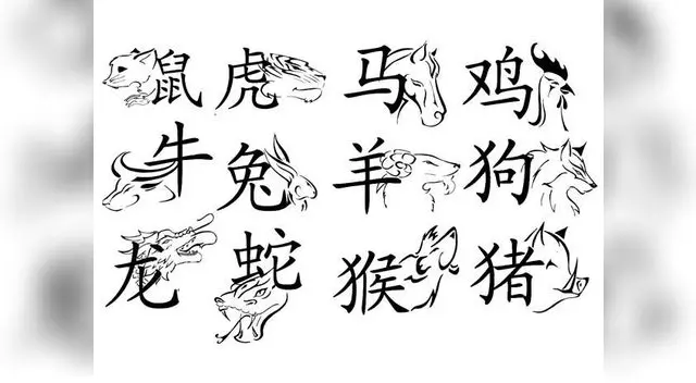 Conoce tu destino Conoce tu destino