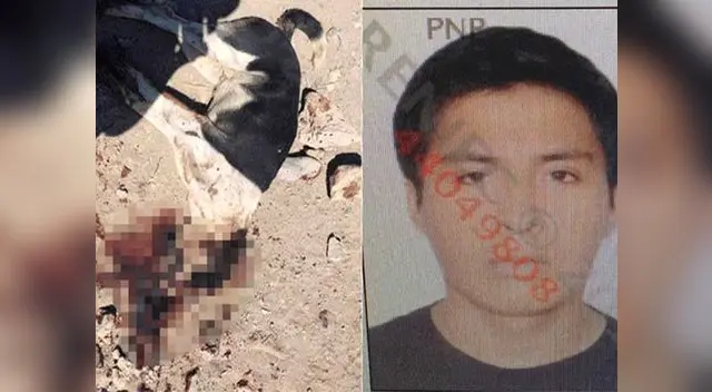 Nuevo caso de maltrato animal ocurrió en Arequipa