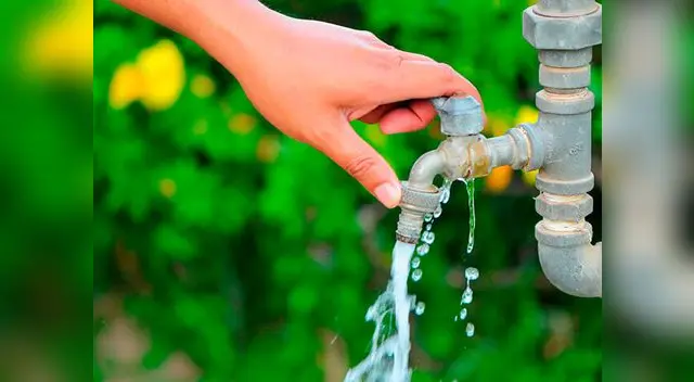 En los días de llovizna y lluvia en la ciudad, evita regar tu césped