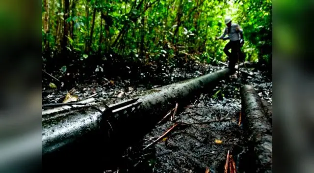 Nuevo derrame de petróleo en Amazonas   