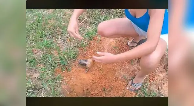 Perro es rescatado luego de ser abandonado Perro es rescatado luego de ser abandonado