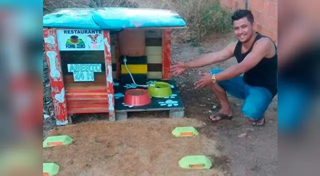 Crean restaurante para perros de la calle Crean restaurante para perros de la calle
