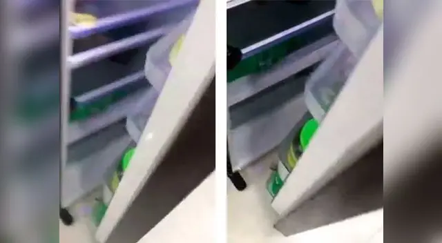 Video se viralizó a los pocos minutos Video se viralizó a los pocos minutos