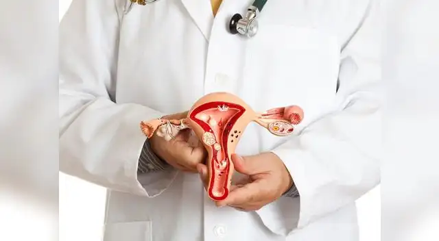  El 92% de los cánceres uterinos ocurren en el endometrio