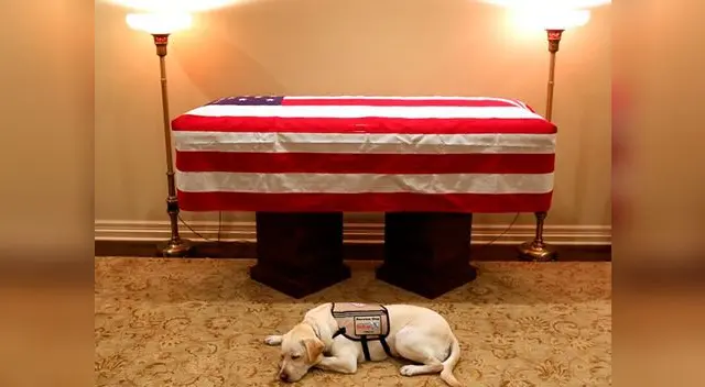 Sully asistió al Capitolio para despedirse de su dueño