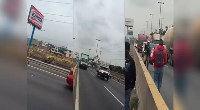 Rescate se vuelve viral en redes Rescate se vuelve viral en redes