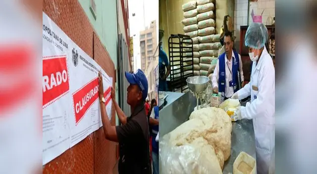 Los panetones lo elaboraban en condiciones insalubres Los panetones lo elaboraban en condiciones insalubres