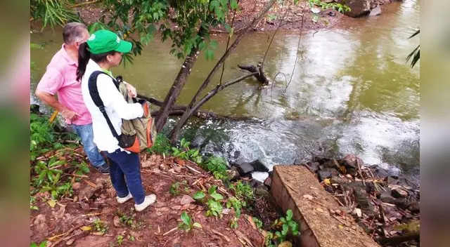 Madre de Dios tiene diversidad de fauna marina Madre de Dios tiene diversidad de fauna marina