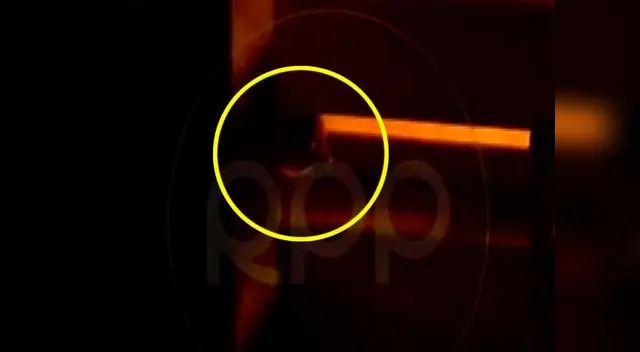 Cercado de Lima: mascotas quedaron atrapadas en el incendio de Jr. Caylloma