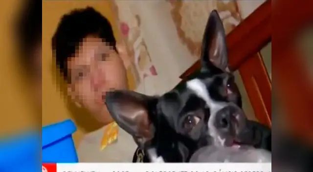 Menor recuperó a su mascota 