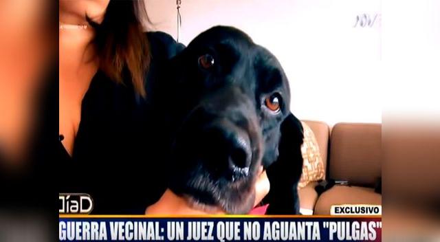 Increíblemente, el Poder Judicial aceptó sus demandas y ganó.